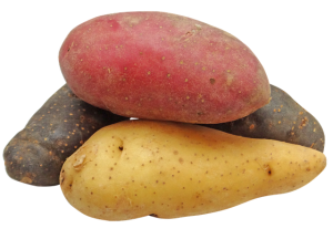 potato-2147541_640